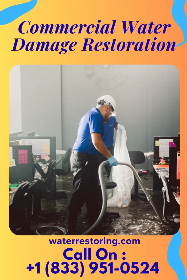 Commercial Water Damage Restoration in Halsey, NE