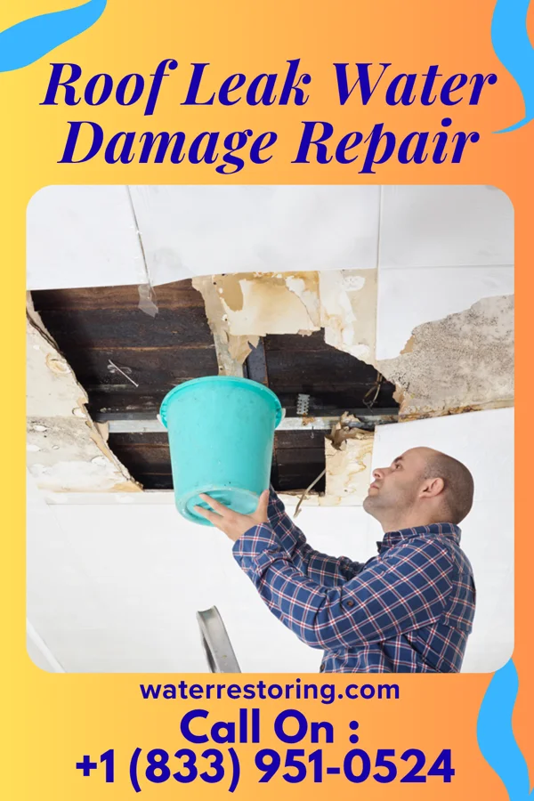 Roof Leak Water Damage Repair in Halsey, NE