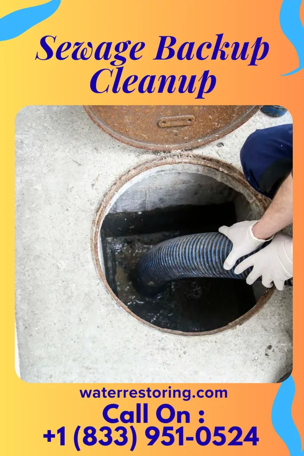 Sewage Backup Cleanup in Halsey, NE